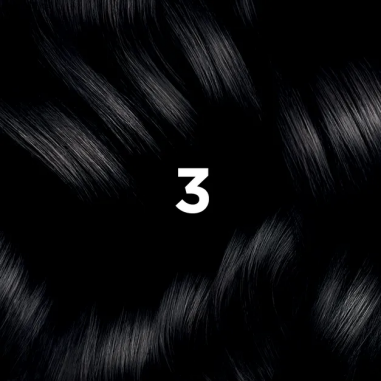 PHYTO COLOR 3 CASTAÑO OSCURO